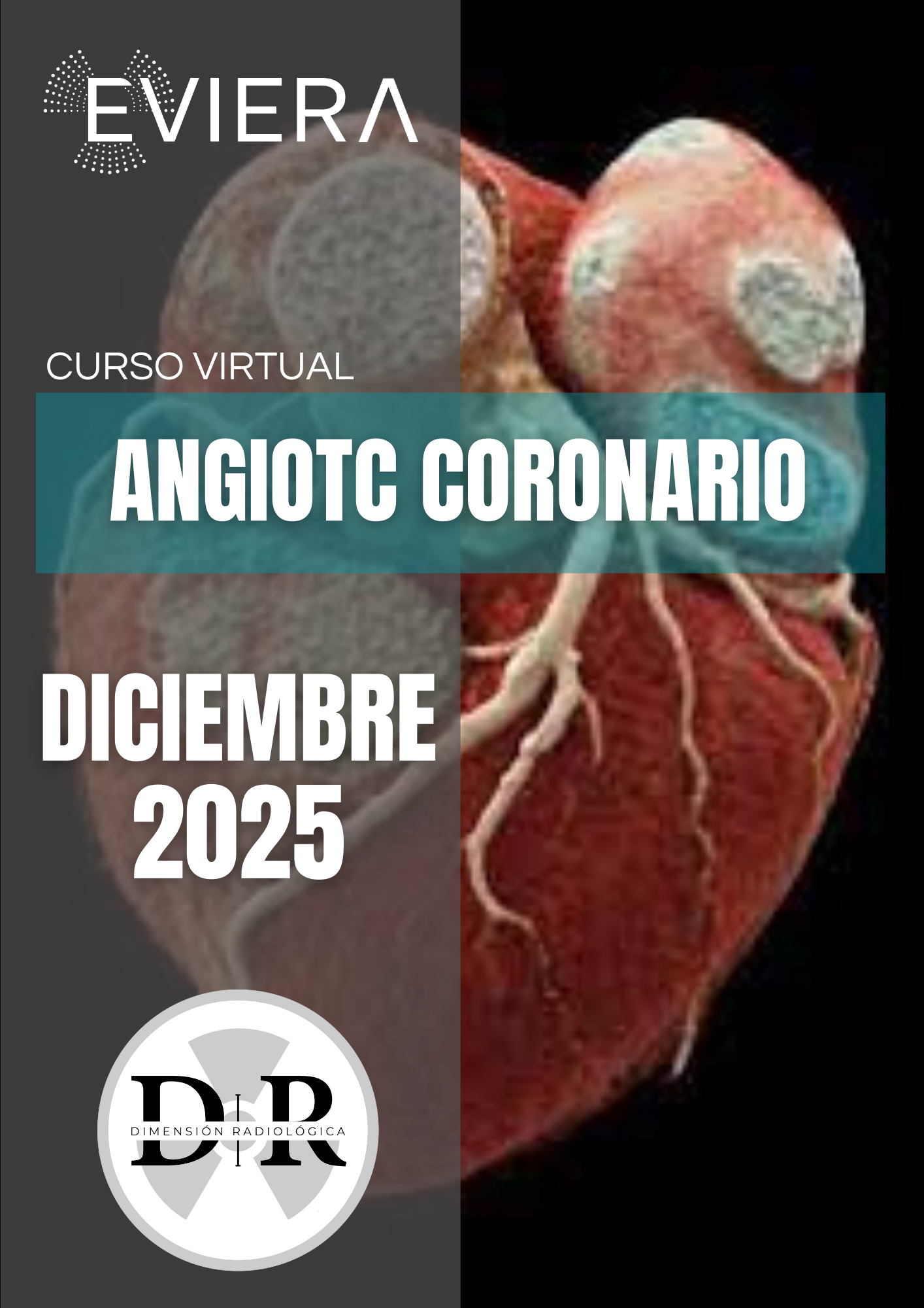Imagen del curso
