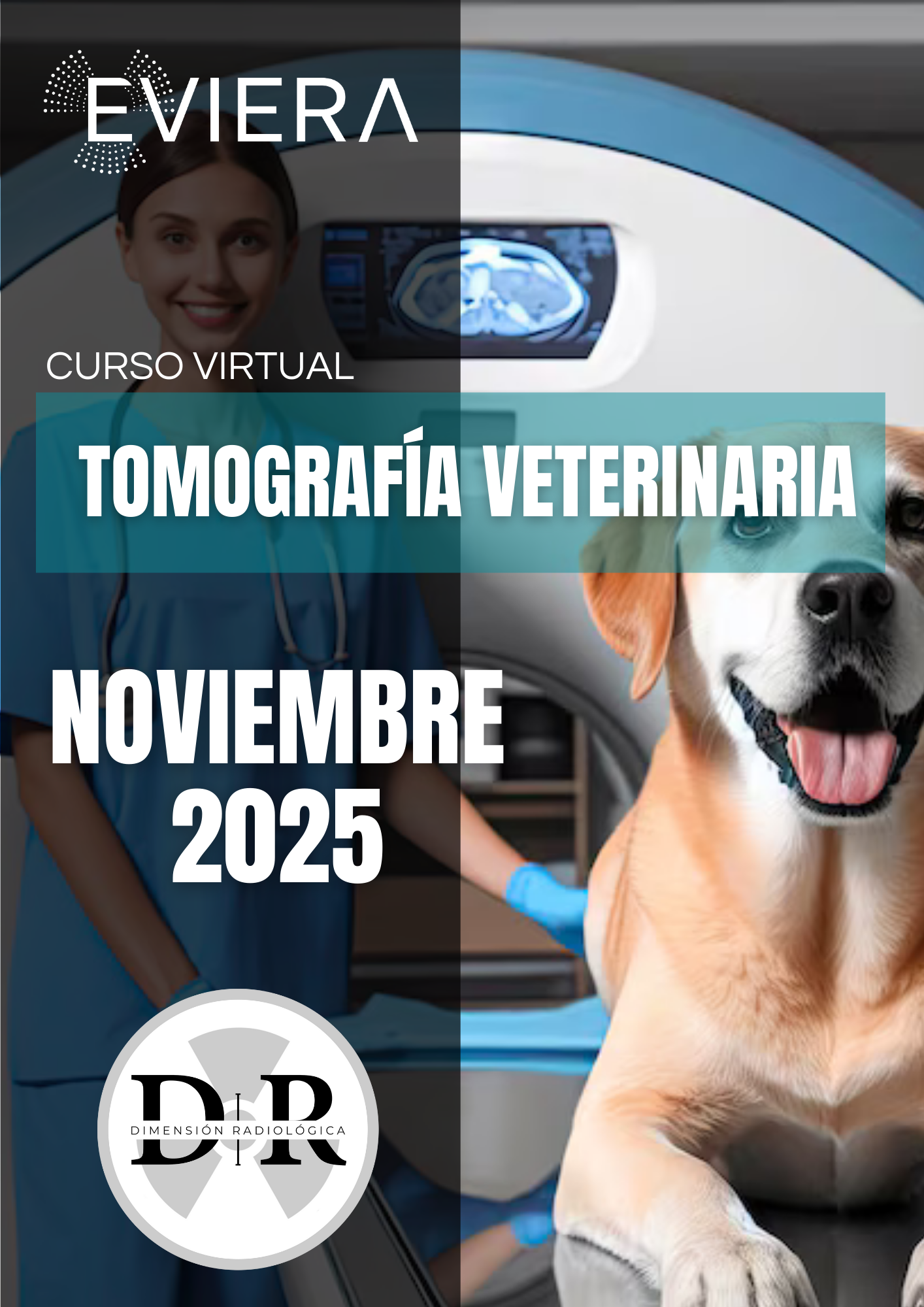 Imagen del curso