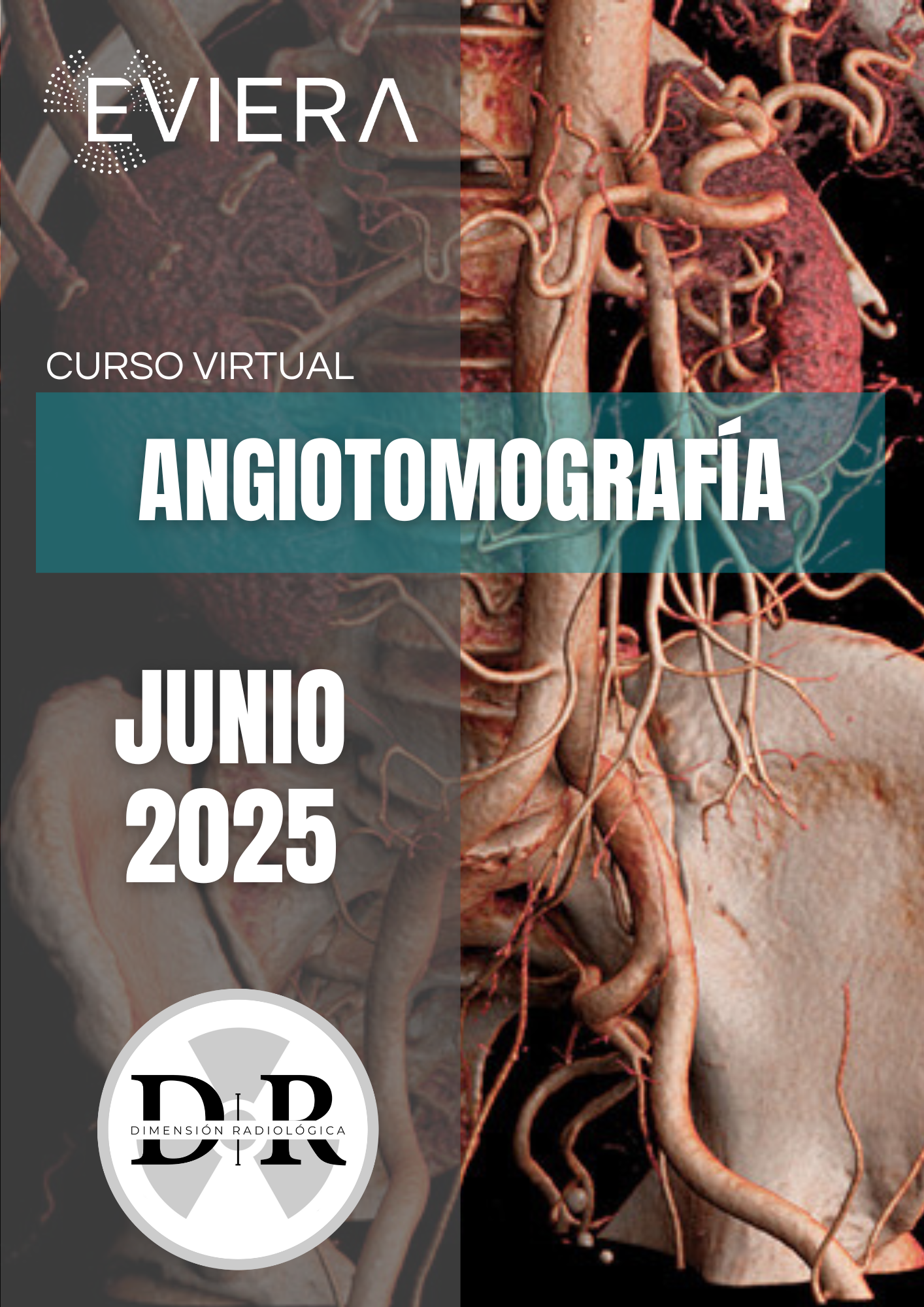 Imagen del curso